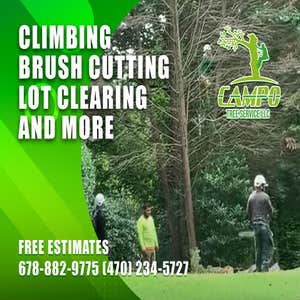Photos by Campo Tree Service LLC #2