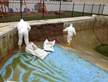 Photo(s) from BioTerra Environmental Solutions, LLC.