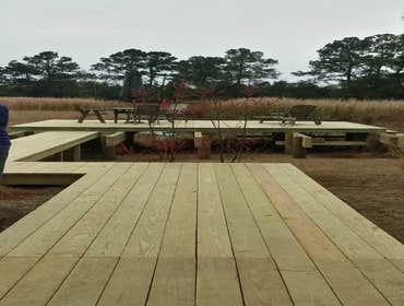 Projects and Plants This gallery shows a combination of projects and beautiful Native Plants. Projects that meet the requirements of a National Wildli