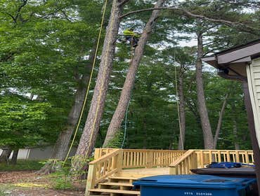 Flores Tree Services General & Landscaping