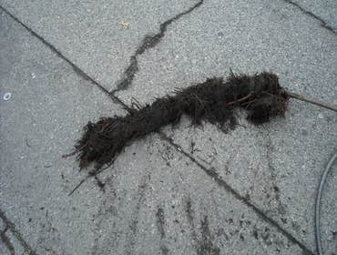 NO MORE UN-EXSPECTED CLOG DRAINS Whole House Warranty NO MORE UN-EXSPE