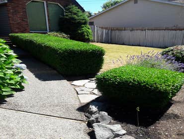 Photos by Verano Landscaping #1