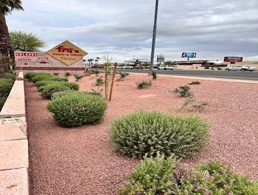 Landscape Construction