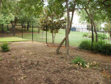 Ornamental iron