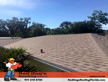 Photos by Red dog's Roofing of Florida #1