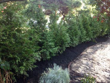 Photo(s) from Aguilar Landscape