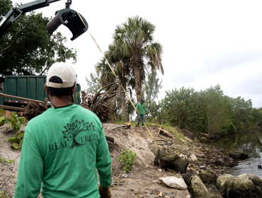 Photos by Real Tree Team Palm Beach #1
