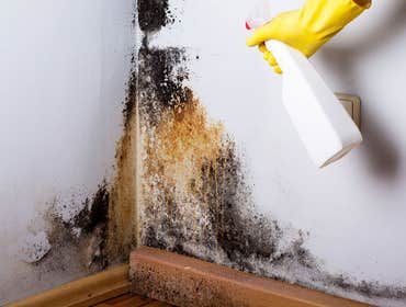 Photos by Hasi Property Restoration LLC #1