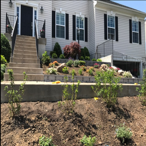 Photos by Patricia Multiservice and Landscaping #6