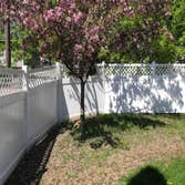 Vinyl Fence
