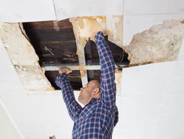 Photos by Mold Remediation Chandler Answers #1