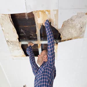 Photos by Mold Remediation Chandler Answers #1