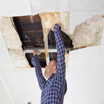 Photos by Mold Remediation Chandler Answers #1