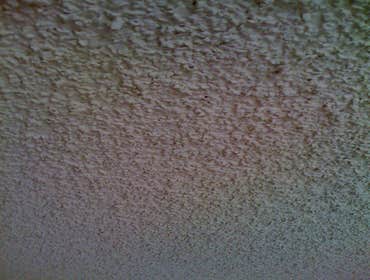 Photos by AC Interiors #1
