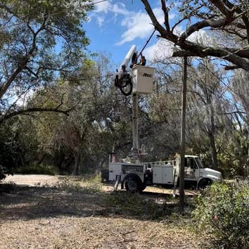 Bucket Man Tree Services