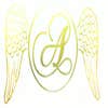 Angelic Painters LLC logo