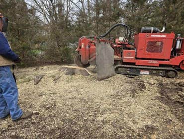 Photos by Superior Stump Grinding #1