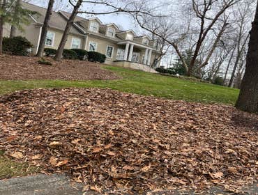 Photos by Jose Santos Landscaping #13