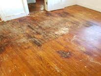Photos by Jay Litman Construction Remodeling and Handyman Services in #1