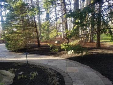Photos by Jm Landscape and Tree Services #1