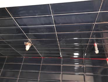 Photos by Northland Tiling #2