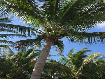 Photos by B&c Fruit Trees & Landscape LLC #1