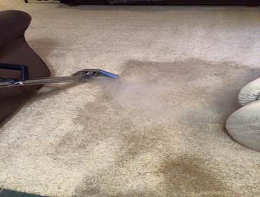 Stevens Point Stem Cleaning