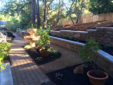 Thomas Landscapes Project