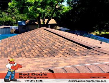 Photos by Red dog's Roofing of Florida #1