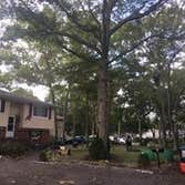 Photos from Big Brothers Tree Service & Landscaping Inc