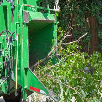Kings County Tree Service