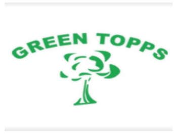 Photos by Green Topps #1