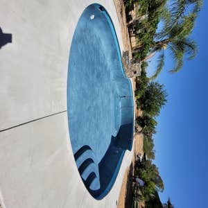 Photos by Paradise Swimming Pools and Landscaping #1