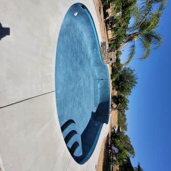Photos by Paradise Swimming Pools and Landscaping #1