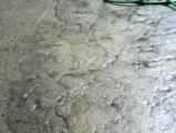 Works by CSCI ~ Concrete Stamp