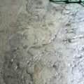 Works by CSCI ~ Concrete Stamp