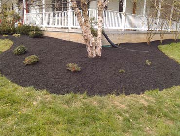Short Cutter's Inc Project Page Above are pictures of some of the various services that we offer.