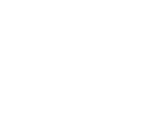 Photos by Premier Lawnscaping #1