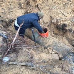 Root Intrusion
