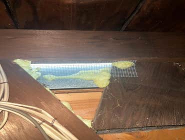 Rodent Treatment Service