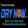 Dry Now Services logo