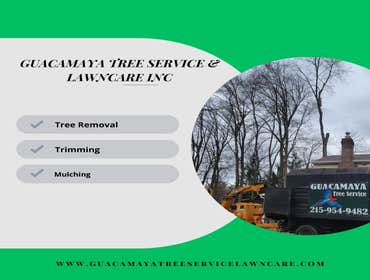 Photos by Guacamaya Tree Service & Lawncare Inc #2
