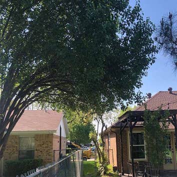 Garland Tree Service