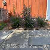 Staples Landscaping