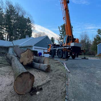 Kelley Tree Service