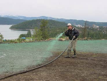 HYDROSEEDING BLUEGRASS