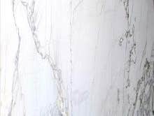 White Teak