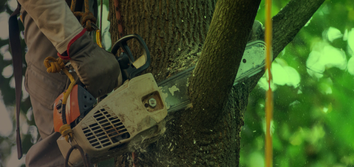 Angeles Landscaping and Tree Service Inc