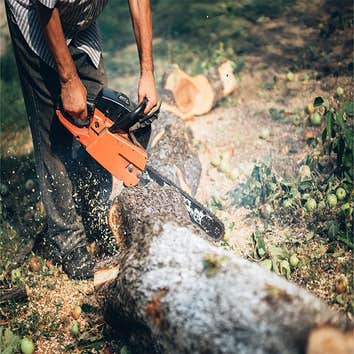 Buckley's Best Tree Care