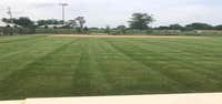 Photos by Dunn Lawn Care #1